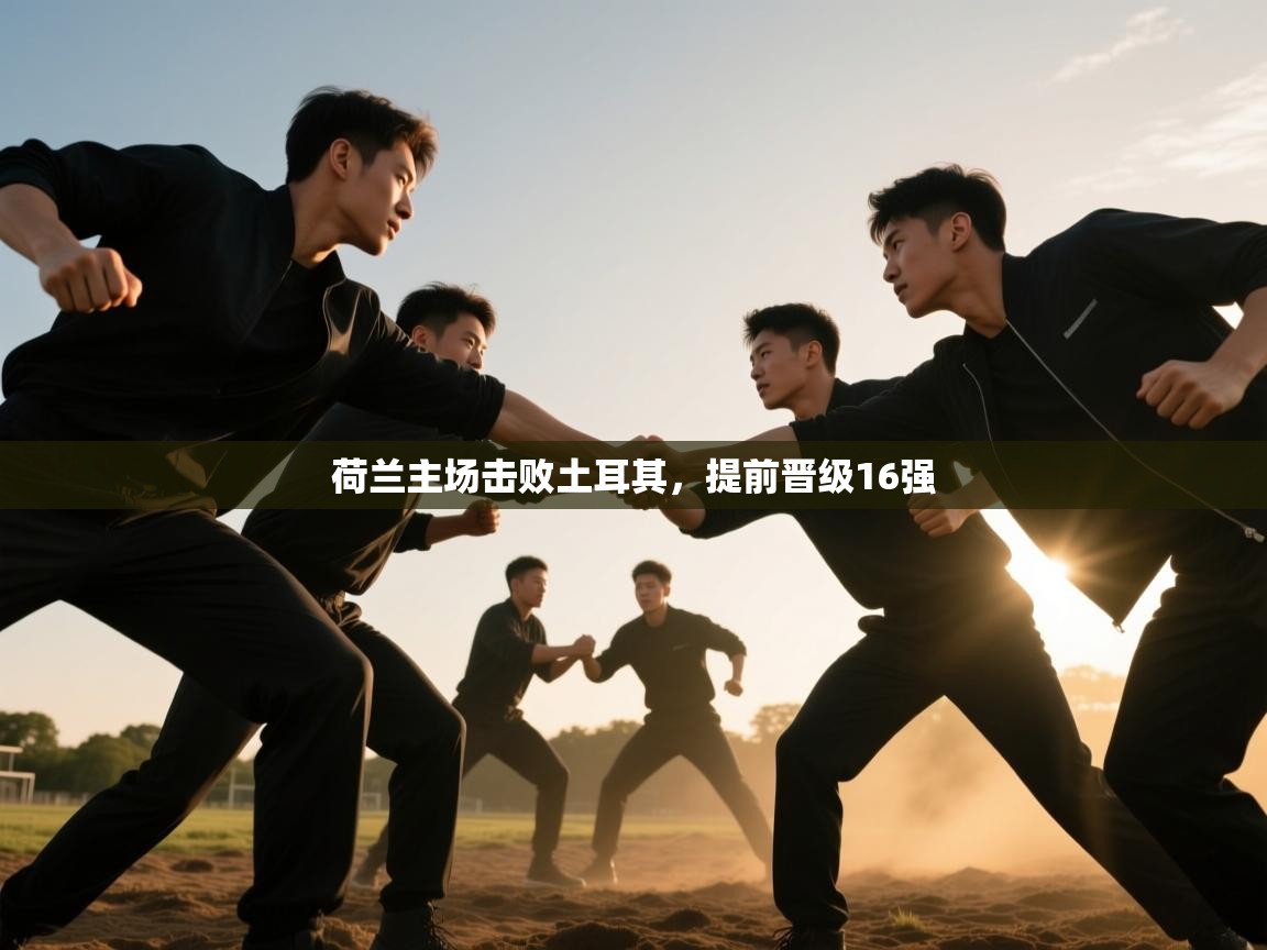 荷兰主场击败土耳其，提前晋级16强