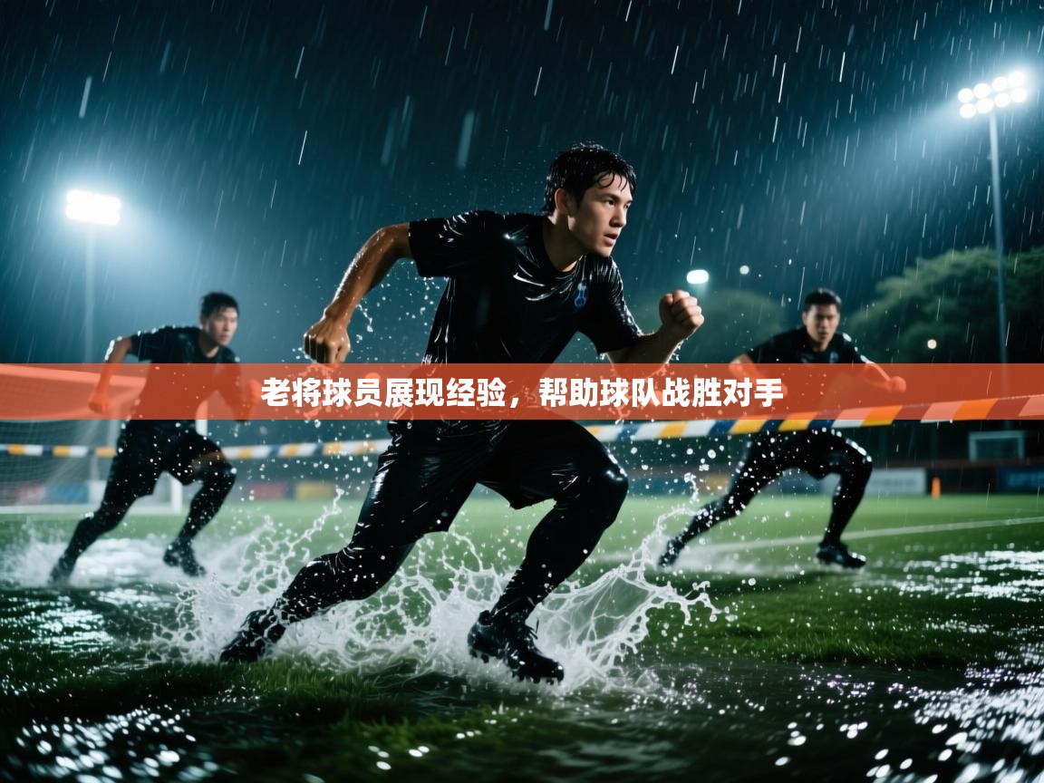 老将球员展现经验,帮助球队战胜对手 第1张