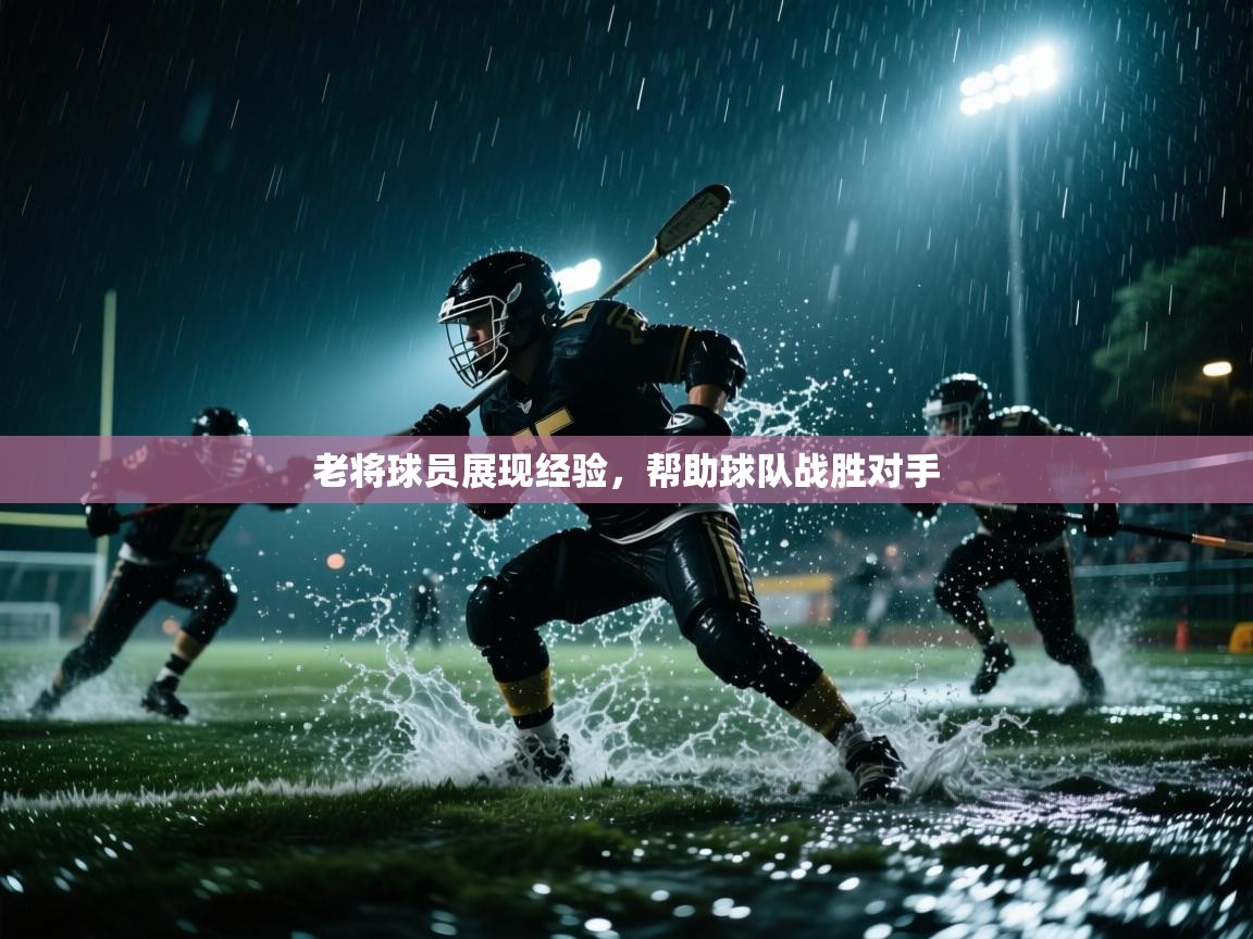 老将球员展现经验,帮助球队战胜对手 第2张