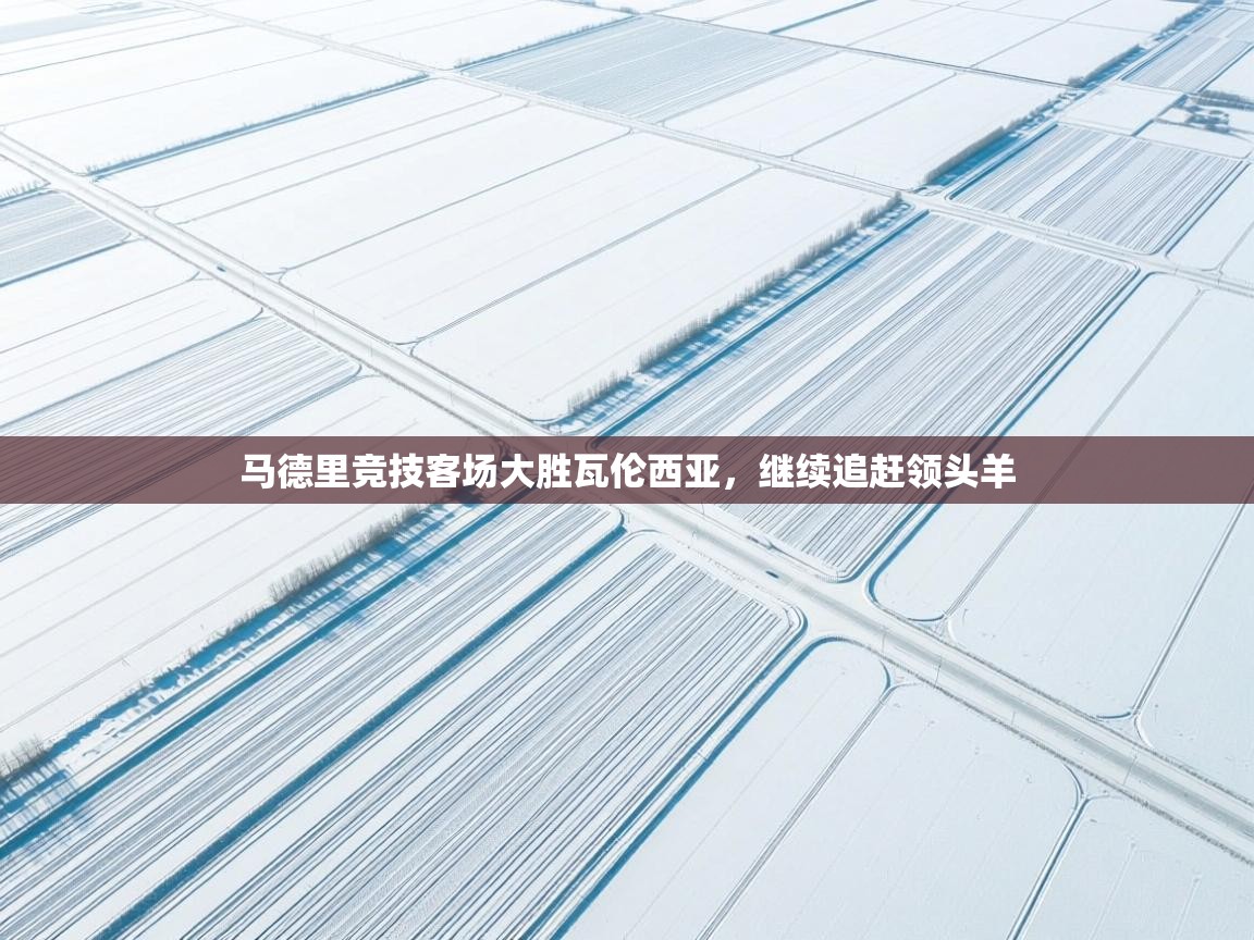 马德里竞技客场大胜瓦伦西亚，继续追赶领头羊