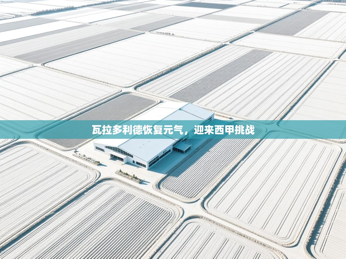 瓦拉多利德恢复元气，迎来西甲挑战  第1张