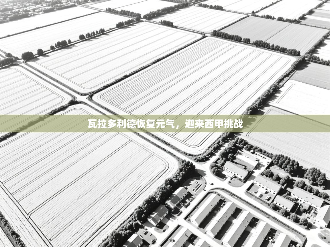 瓦拉多利德恢复元气，迎来西甲挑战  第2张