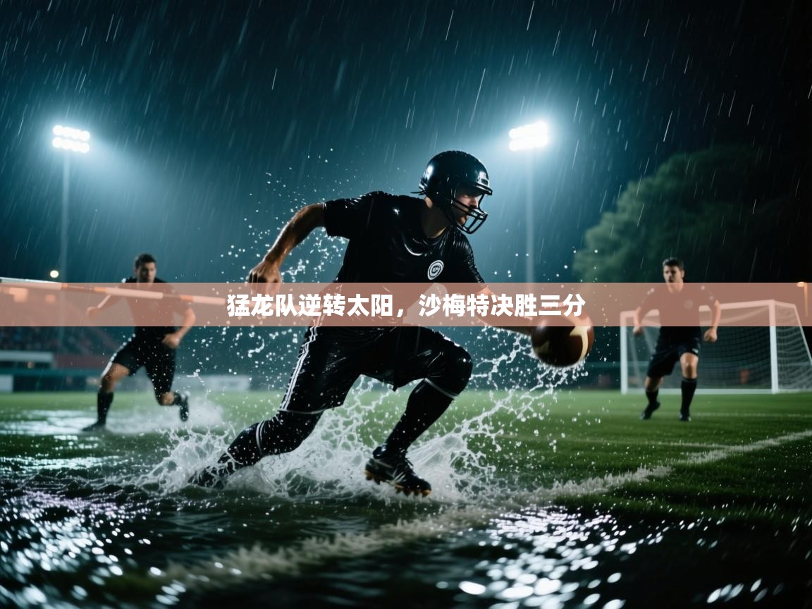 猛龙队逆转太阳,沙梅特决胜三分 第2张