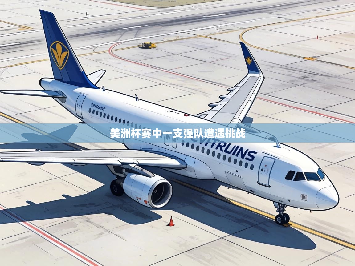 美洲杯赛中一支强队遭遇挑战  第1张