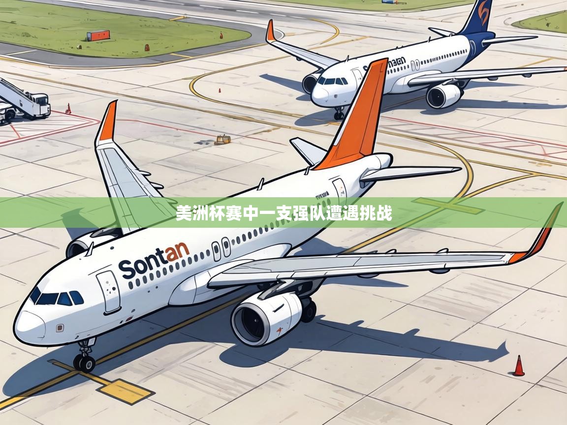 美洲杯赛中一支强队遭遇挑战  第2张